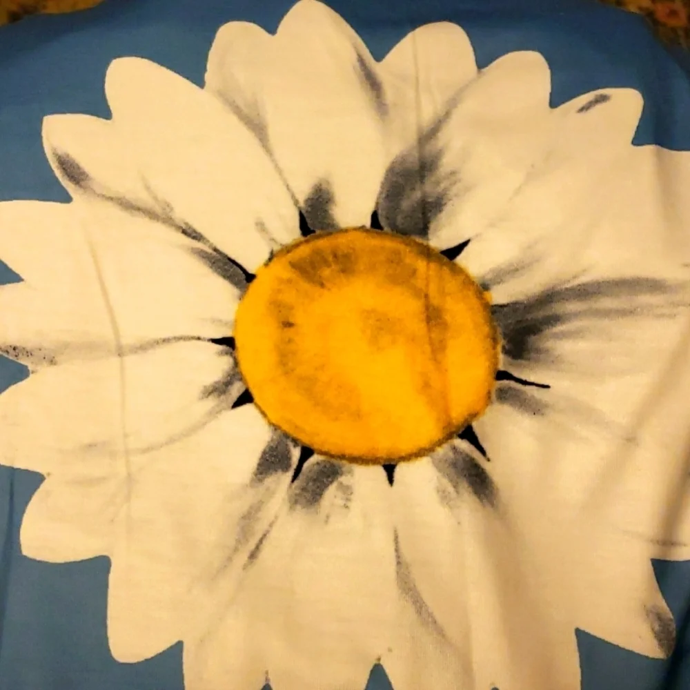 Summer Daisy Blue Short Sleeve T-Shirt Size L